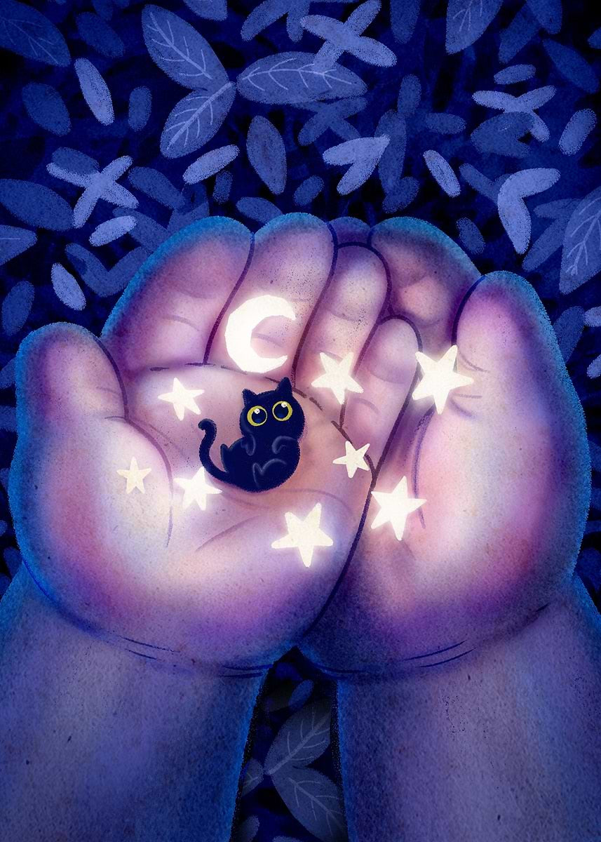 Mini Cat