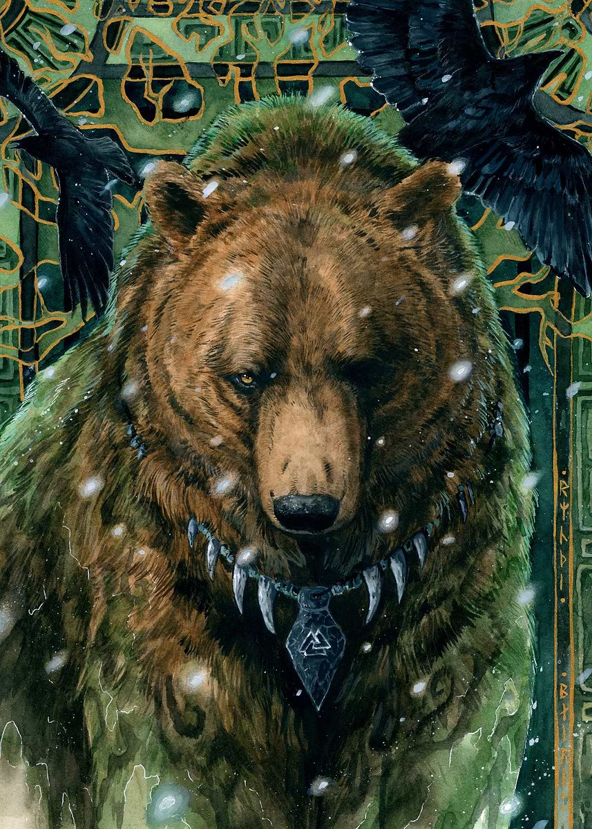 Odin bear