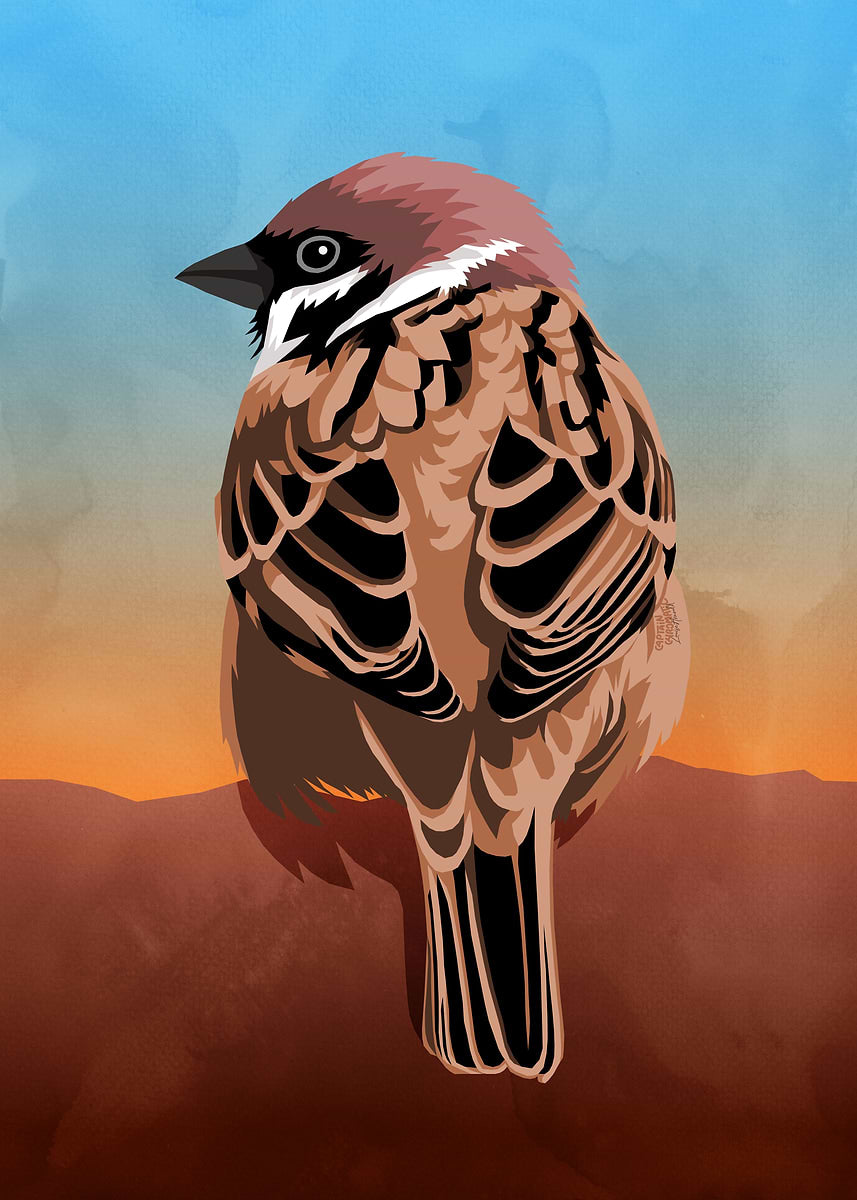 Eurasian tree sparrow